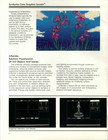 Symbolics Color Graphics brochure, page 6