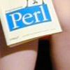perl porn