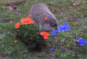 i remember when i found out there were no levitating woodchucks