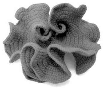 hyperbolic plane