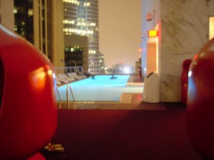 pool and pods on the roof of the standard hotel