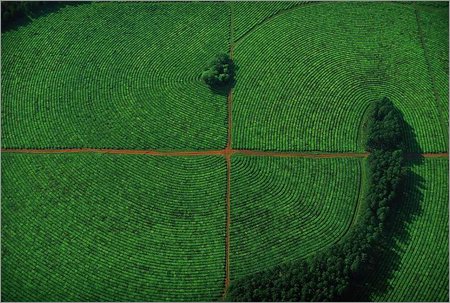 yann arthus bertrans